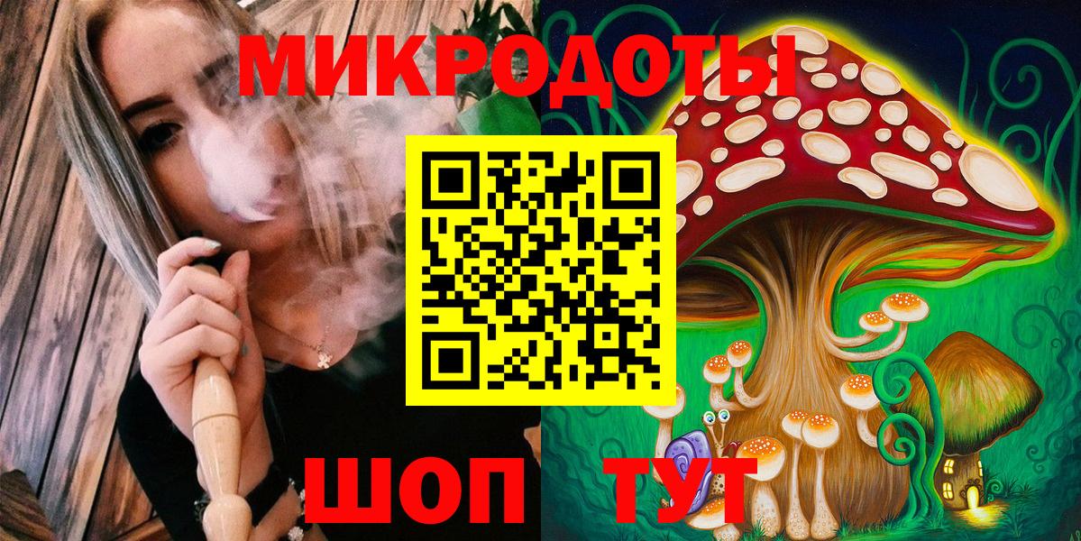 Галлюциногенные грибы Cubensis  купить наркотик  Элиста  Вход с VPN 