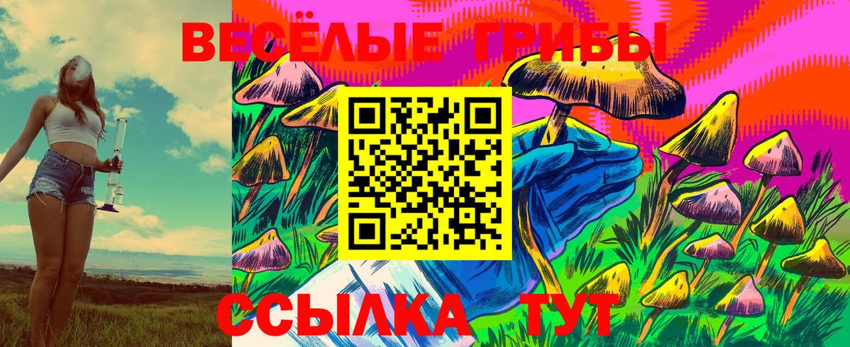 Псилоцибиновые грибы Psilocybine cubensis Элиста